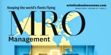 MRO Management – Avionics Instruments 